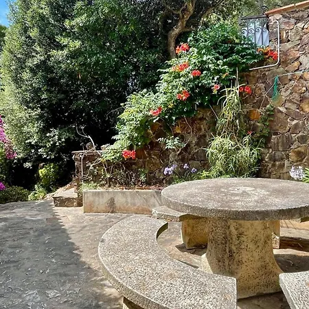 Vakantiehuis Sa Punta 60 Pals